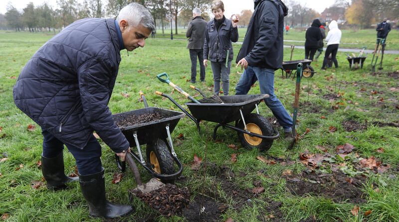 Sadiq plants a tree in a park.